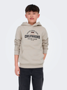 Sudadera Osjceres Reg Vintage Print Hood Swt Noos Silver Lining - Only &amp; Sons