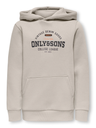 Sudadera Osjceres Reg Vintage Print Hood Swt Noos Silver Lining - Only &amp; Sons
