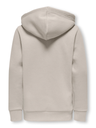 Sudadera Osjceres Reg Vintage Print Hood Swt Noos Silver Lining - Only &amp; Sons