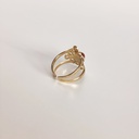 Anillo Ornamento Tierra Dorado