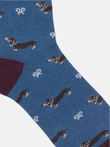 Calcetín Silbon Doggy Azul - Silbon