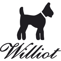 Camiseta Print Williot Marino  - Williot