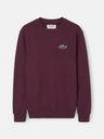 Sudadera Varsity Club Budeos - Silbon