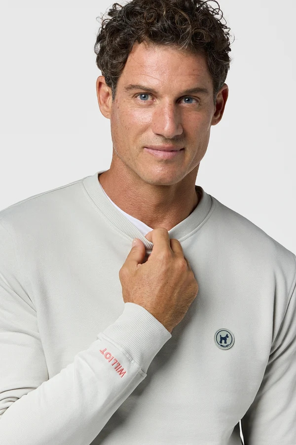 Sudadera Sunk Gris Claro - Williot