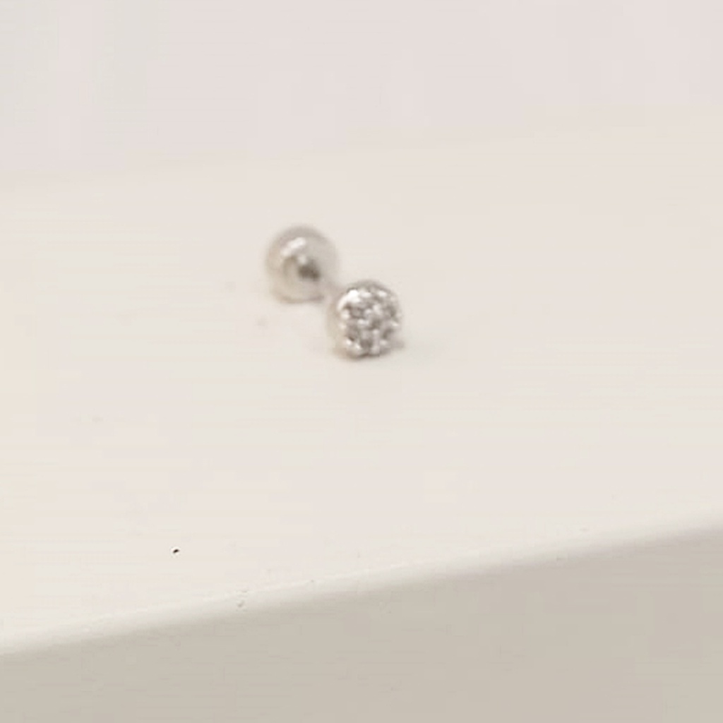 Pendiente Circulo Plateado Circonitas (Rosca)