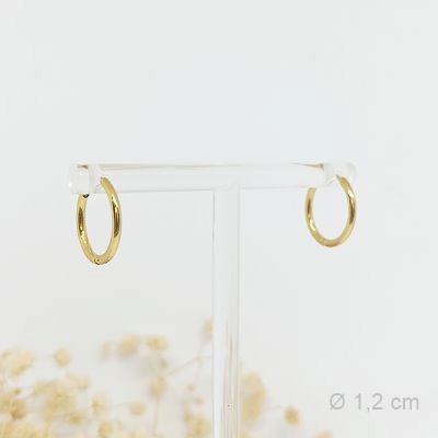 Aros Básicos 1,2cm Dorado