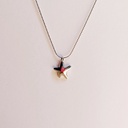 Collar Estrella Mar Pequeña Plateado