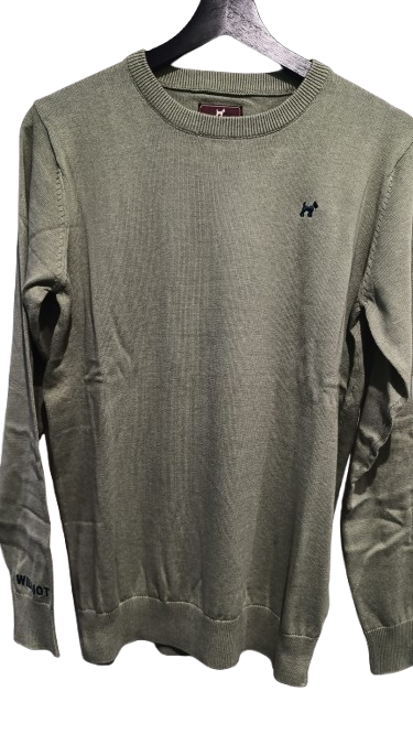 Jersey Cuello Redondo Verde - Williot