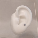 Pendiente Estrella Plateado 3D