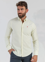 Camisa Raya Oxford Amarillo Suave - Williot