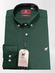 Camisa Oxford Liso Verde Botella - Williot