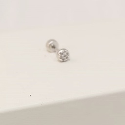 Pendiente Circulo Plateado Circonitas (Rosca)