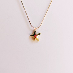 [J250101] Collar Estrella Mar Pequeña Dorado
