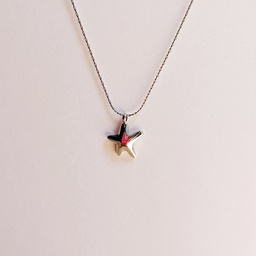 [J250095] Collar Estrella Mar Pequeña Plateado