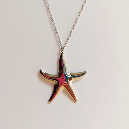 [J25145V] Collar Estrella Mar Maxi Plateado