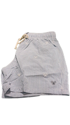 Bañador Rayas Finas Logo Azul Claro - Silbon